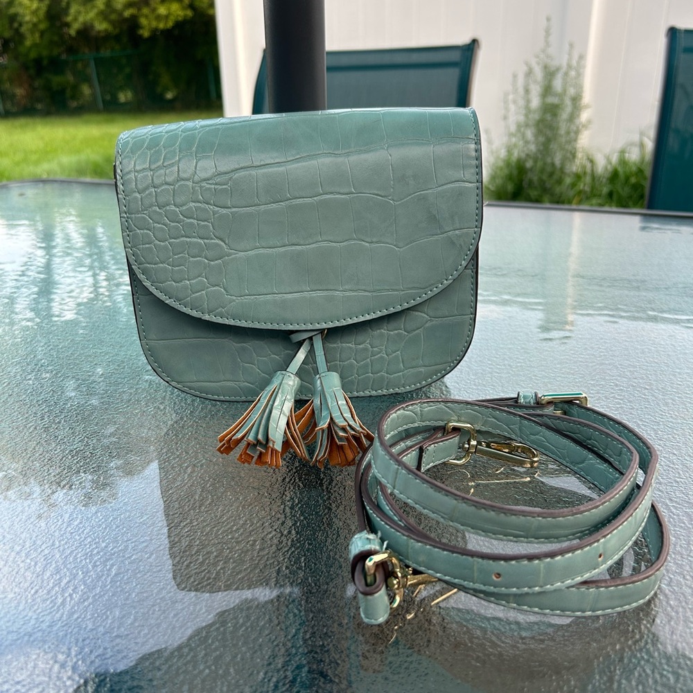 Landry Chic Blush Green Crocodile-Embossed Crossbody Bag